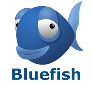 bluefish