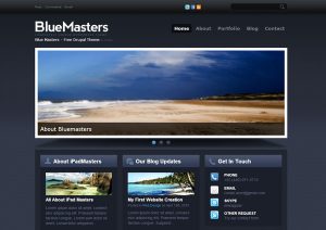 Blue Masters
